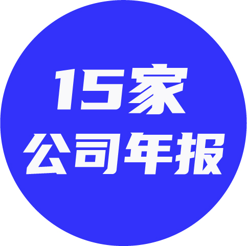 15家公司年报 表现亮眼